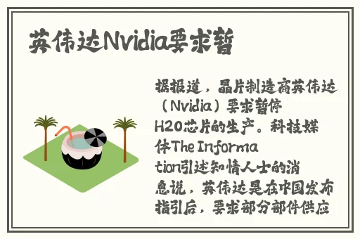 久久国产精品无码一级毛片